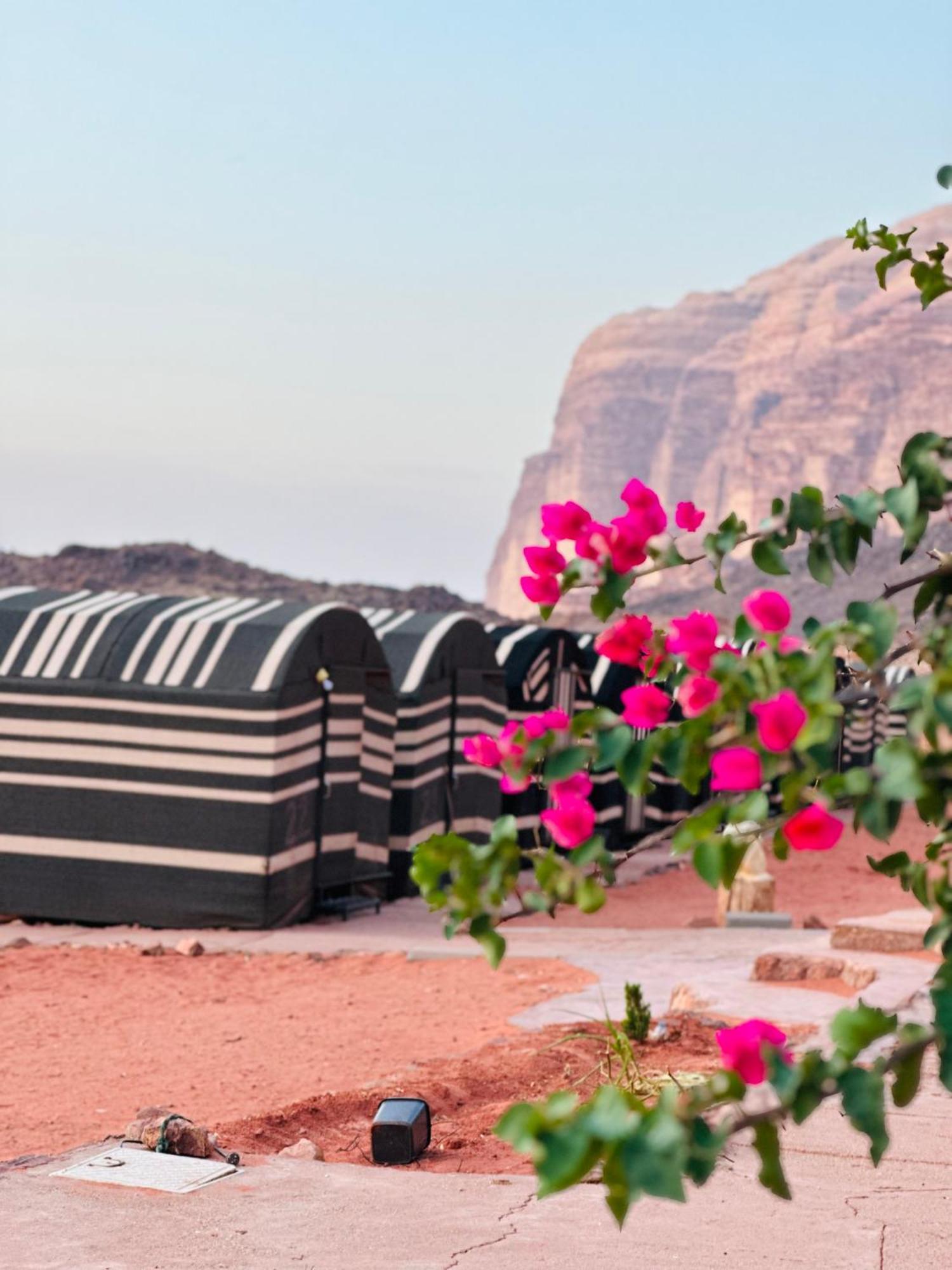 Appartement Sunset Dreams Camp à Wadi Rum Extérieur photo
